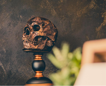 Alfie Allen barbershop interior